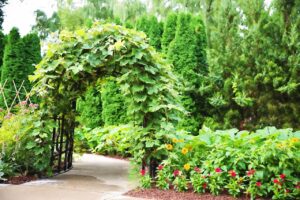Gartenzaun mit Pergola kombinieren